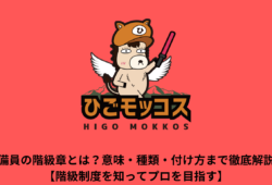 記事のサムネイル画像